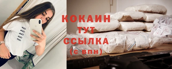 мдпв Семилуки